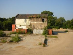 Rotte kiezen
